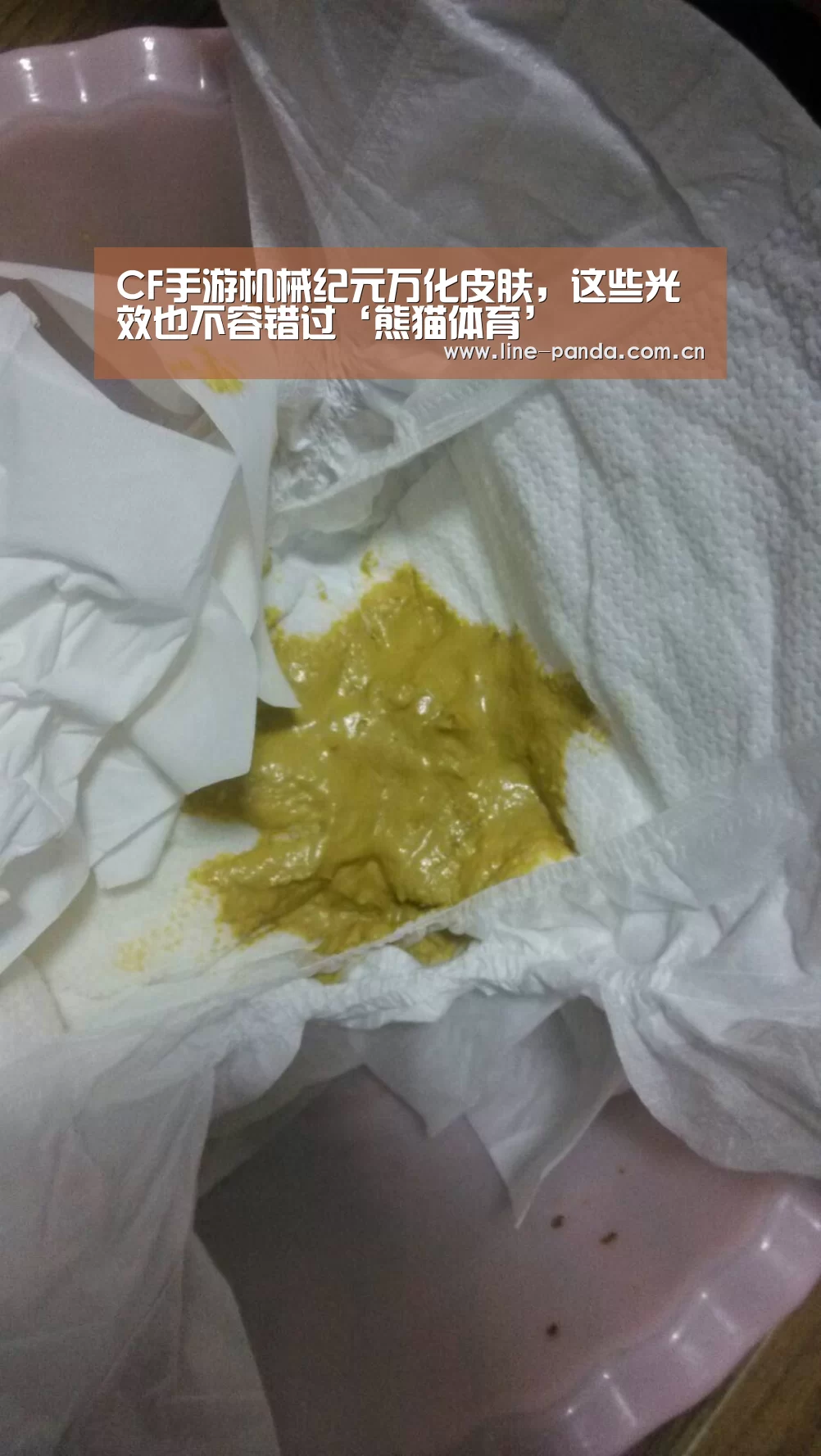 熊猫体育官网